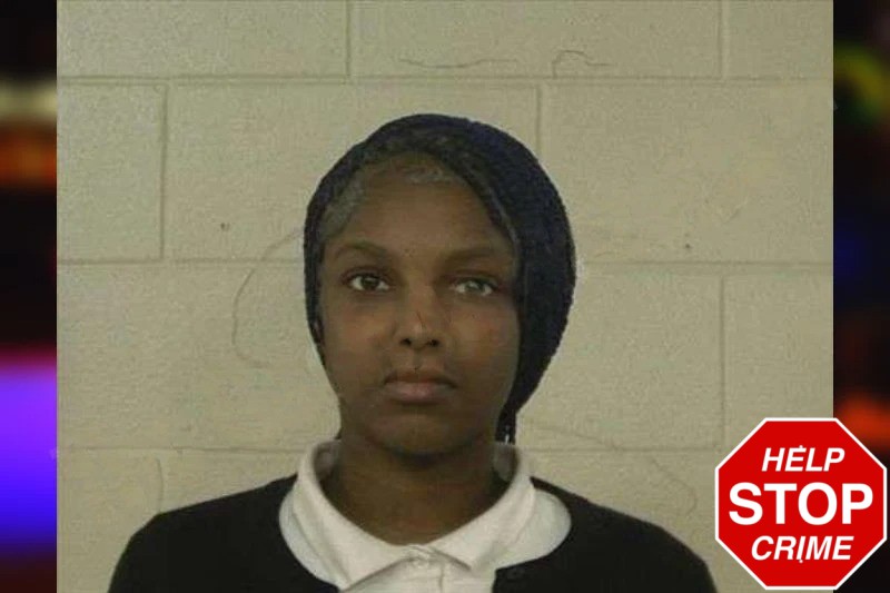 Courteny Fillmore mugshot – Liberty County , Georgia Courteny Fillmore mugshot