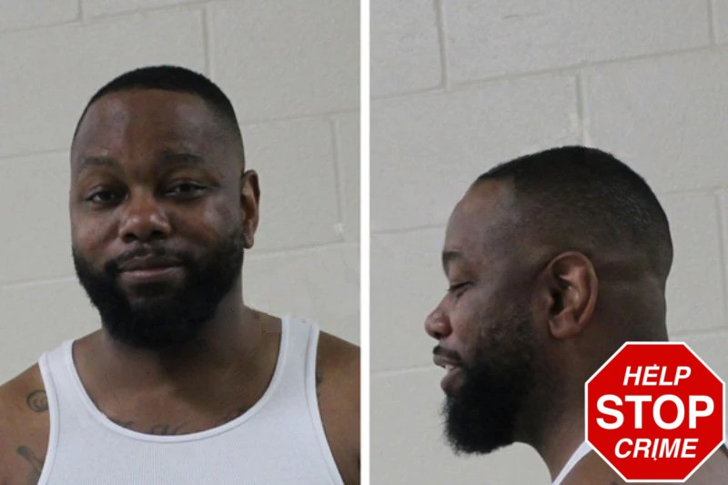 Courtney Cook Mugshots