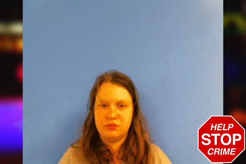 Courtney Johnson Mugshots