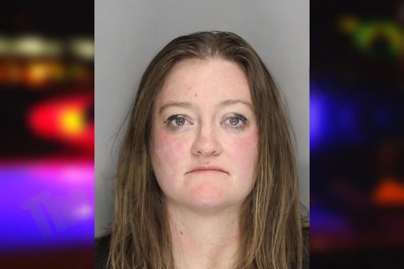 Courtney Ringo mugshot – Cobb County , Georgia Courtney Ringo mugshot