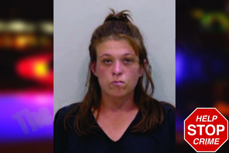 Courtney Spangler mugshot – Bartow County , Georgia Courtney Spangler mugshot