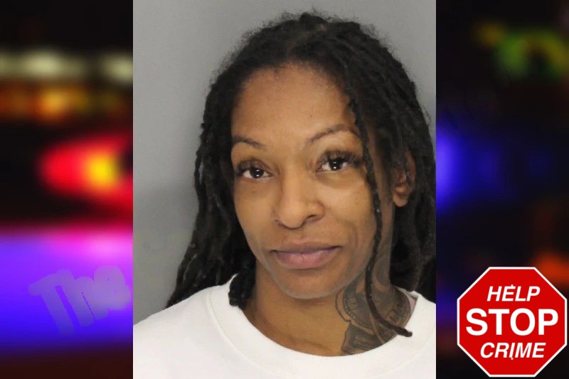 Courtney Watkins mugshot – Cobb County , Georgia Courtney Watkins mugshot