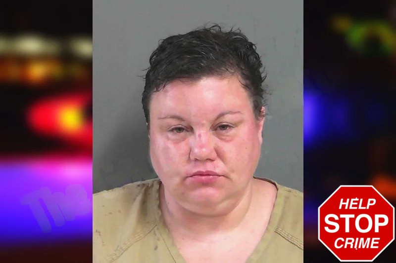 Crystal Koon Mugshots