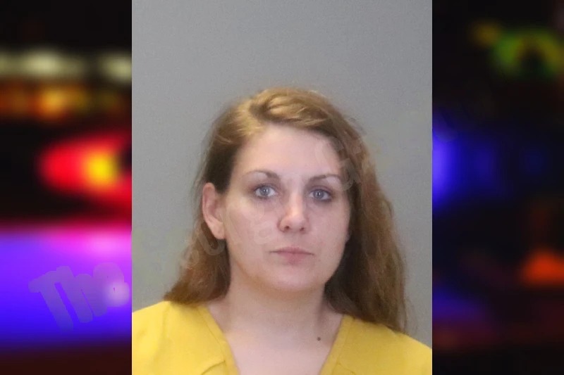 Crystal Lee Mugshots