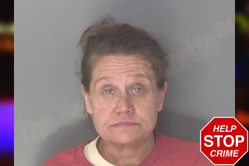 Crystal Mohorcic mugshot – Douglas County , Georgia Crystal Mohorcic mugshot