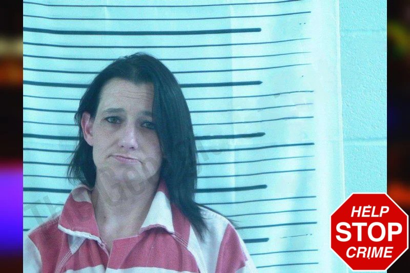 Crystal Norton Mugshots