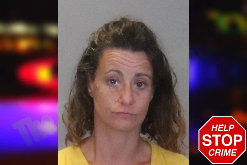 Crystal Wilson Mugshots