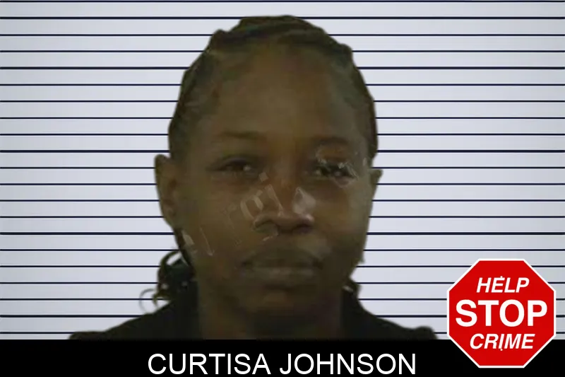Curtisa Johnson Mugshots