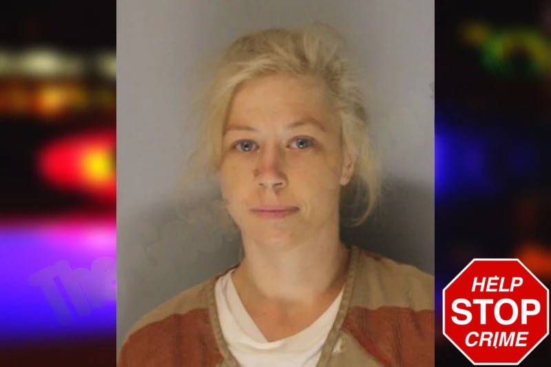 Cyndi Arroway Mugshots