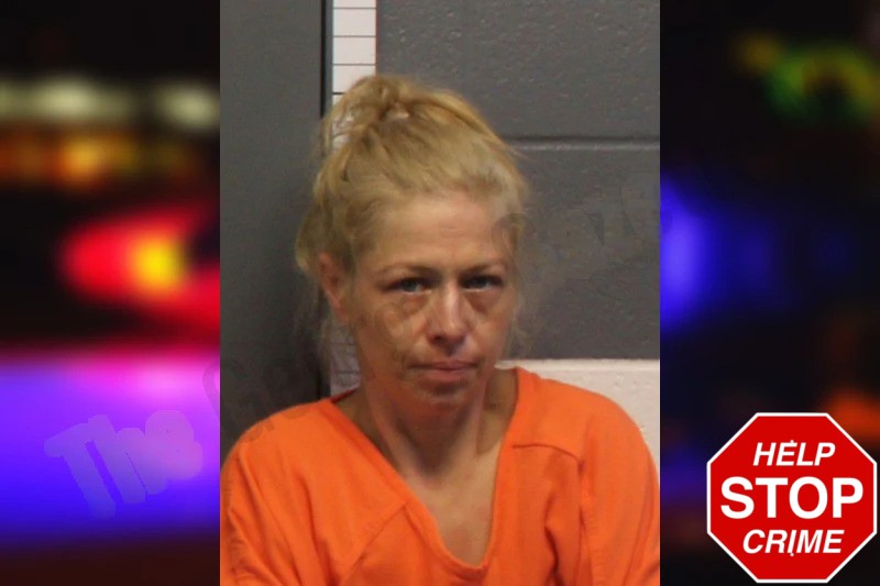 Cyndi Arroway Mugshots