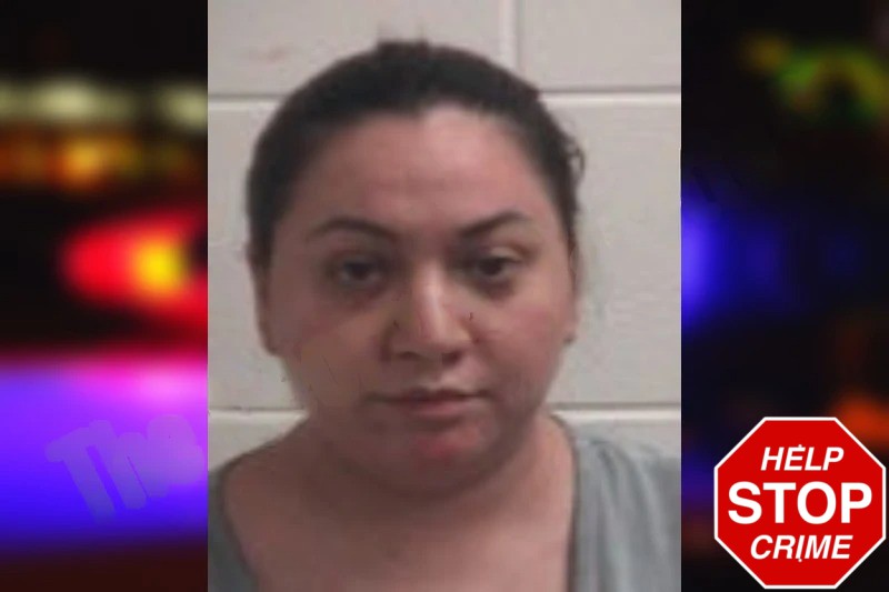 Cynthia Alvarez Mugshots