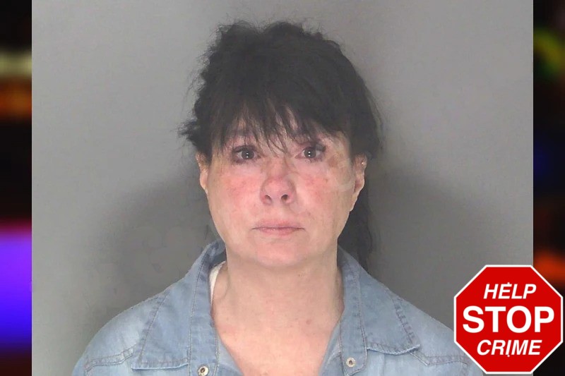 Cynthia Burnett Mugshots