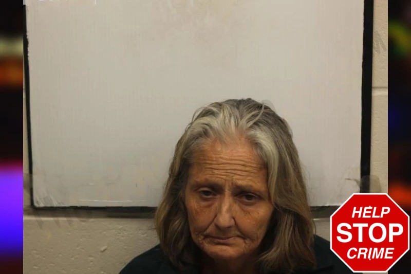 Cynthia Drew Mugshots