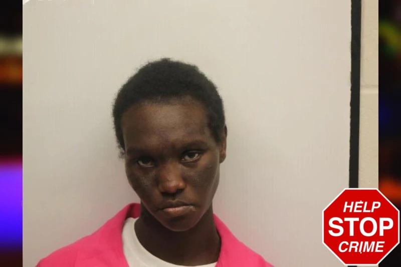 Cynthia Hampton Mugshots