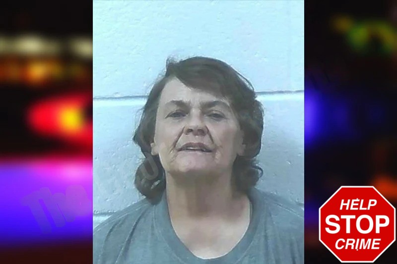 Cynthia Holt Mugshots