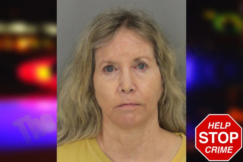 Cynthia Lipham mugshot