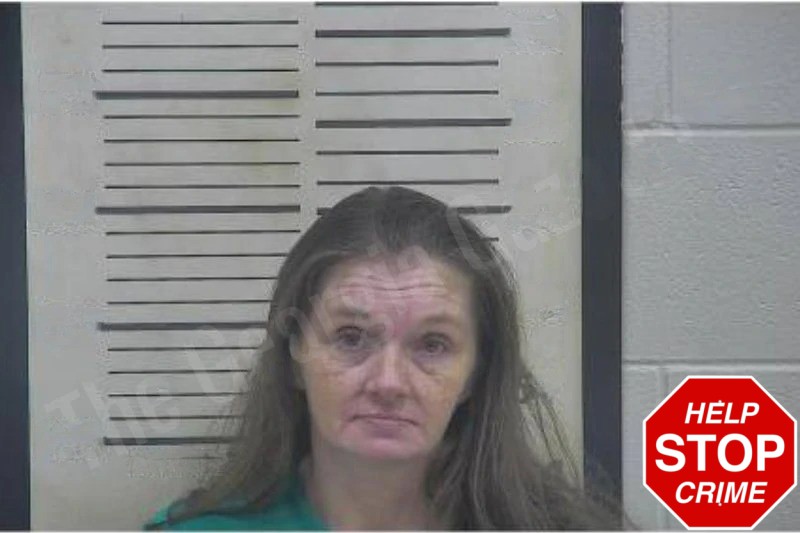 Cynthia Rowell Mugshots