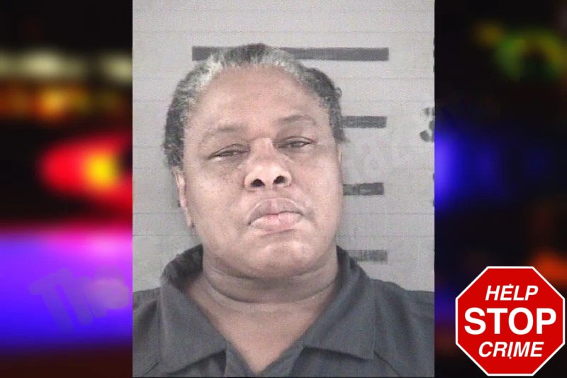 Cynthia Shaw Mugshots