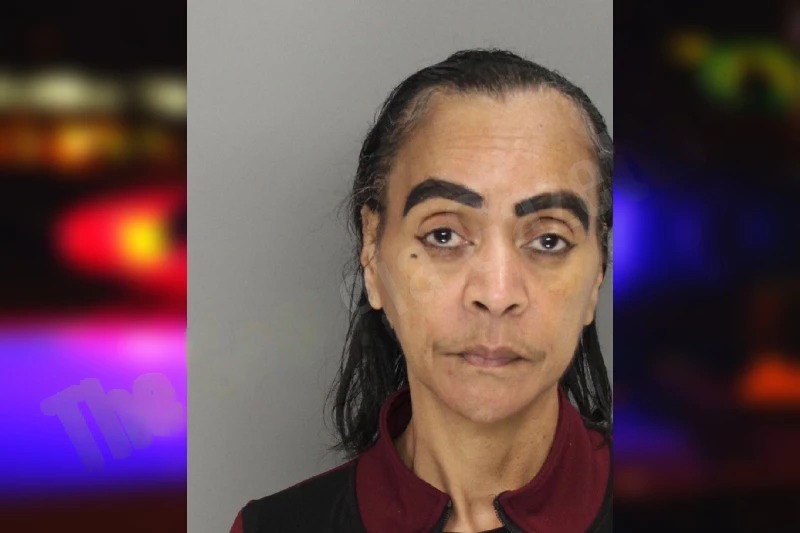 Cynthia Simmons mugshot