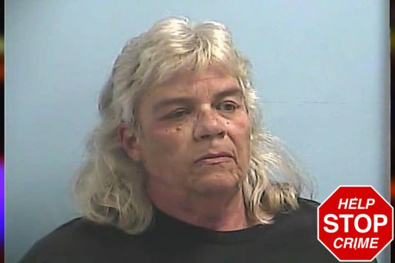 Cynthia White mugshot – Dawson County , Georgia Cynthia White