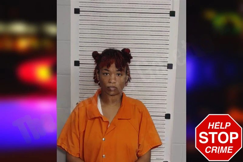 D’Nysha Shaw mugshot – Rockdale County , Georgia D’Nysha Shaw mugshot