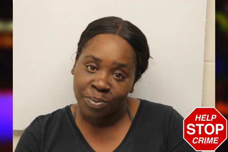 Dakisha Johnson Mugshots