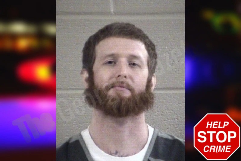 Dakota Lynn mugshot – Whitfield County , Georgia Dakota Lynn mugshot