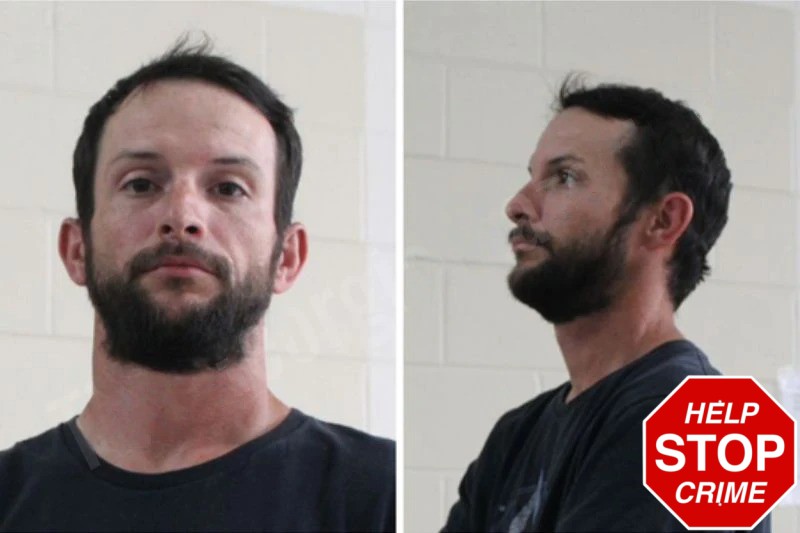 Dakota Windham Mugshots