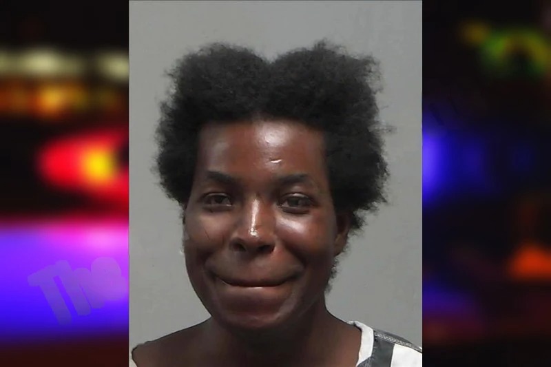 Dameco Young Mugshots