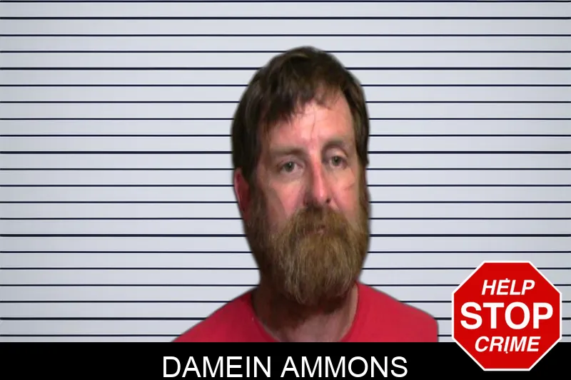 Damein Ammons Mugshots