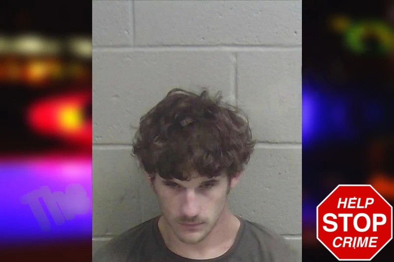 Damien Vickers Mugshots