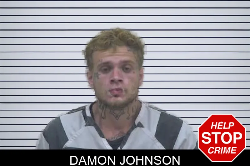 Damon Johnson Mugshots