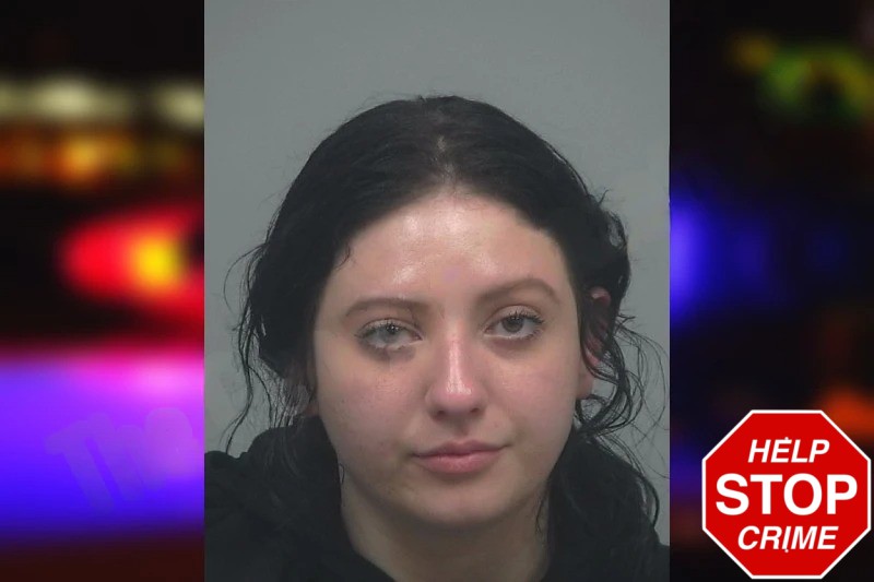 Dana Hernandez mugshot – Gwinnett County , Georgia Dana Hernandez mugshot