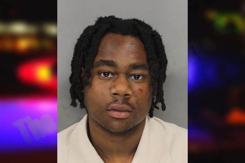 Danarrius Lewis mugshot