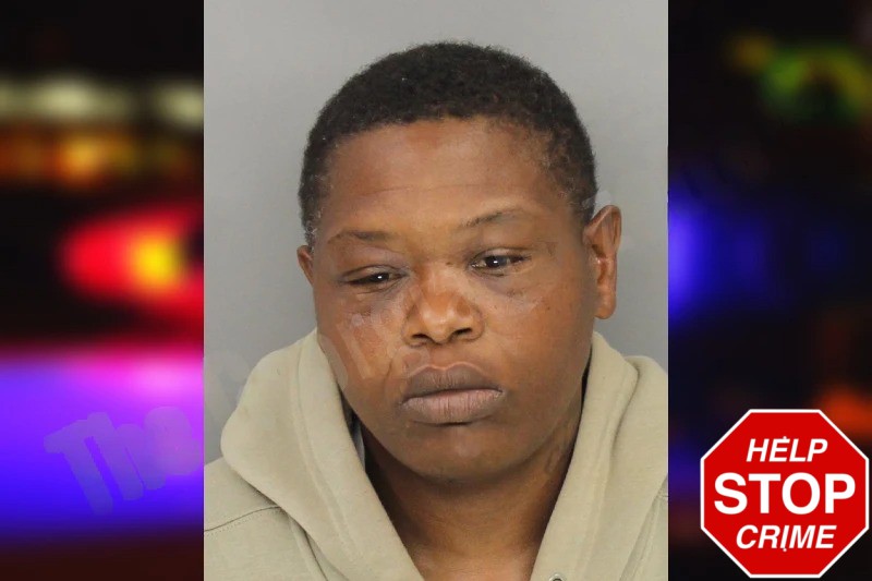 Dandreca McNair mugshot