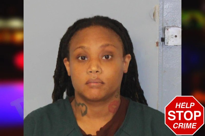 Danesha Davis mugshot – Mcintosh County , Georgia Danesha Davis mugshot