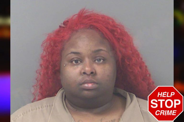 Danicia Barrett mugshot – Douglas County , Georgia Danicia Barrett