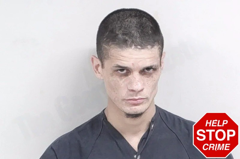 Daniel Brown Mugshots