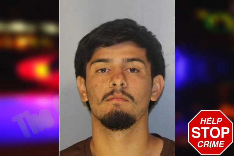 Daniel Mendoza Mugshots