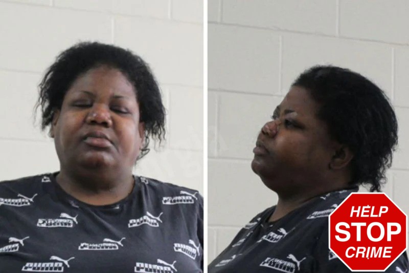 Danielle Jackson Mugshots