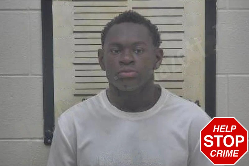 Dannie Ingram Mugshots