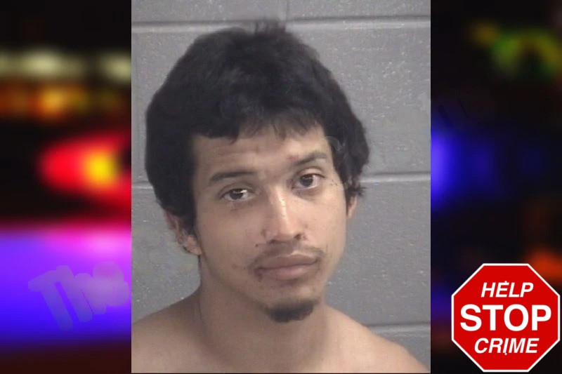 Dante Zamorano Mugshots