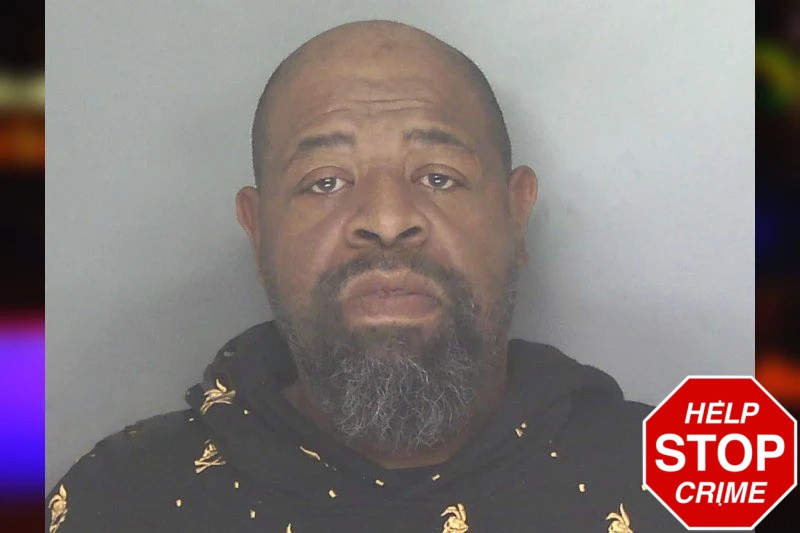 Danyell Johnson Mugshots