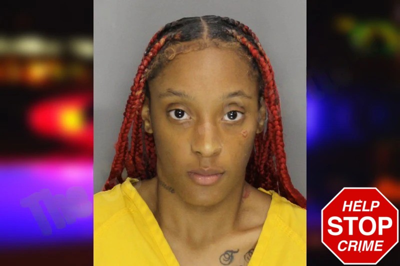 Danyia Page Mugshots