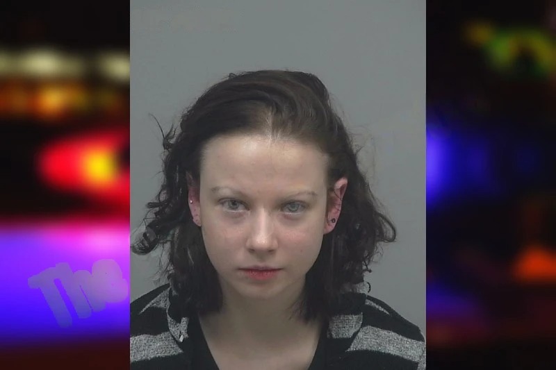 Daryn Gillies Mugshots