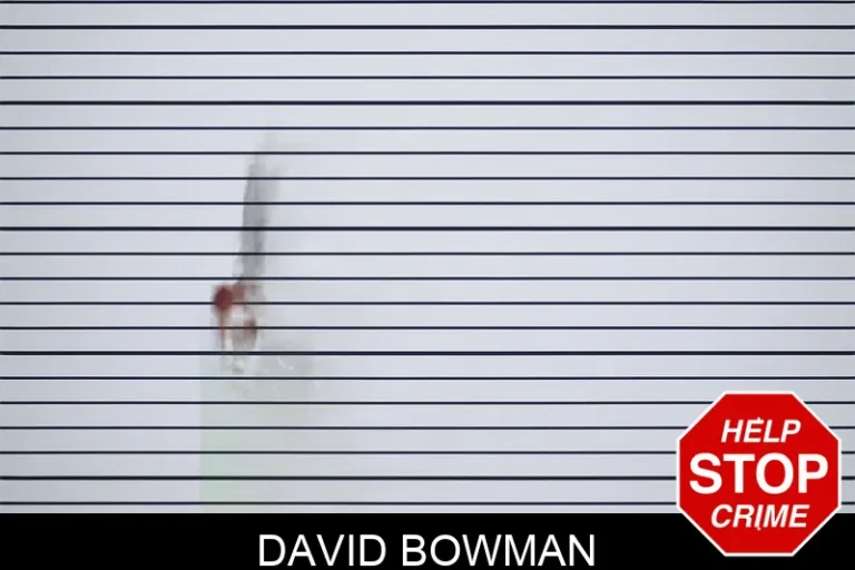 David Bowman