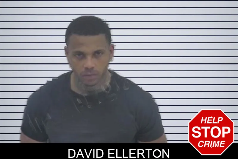 David Ellerton Mugshots
