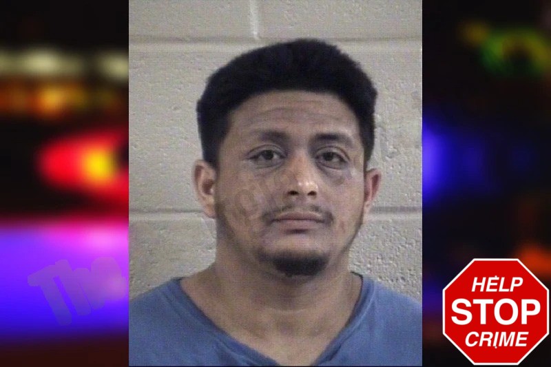 David Fabela Mugshots