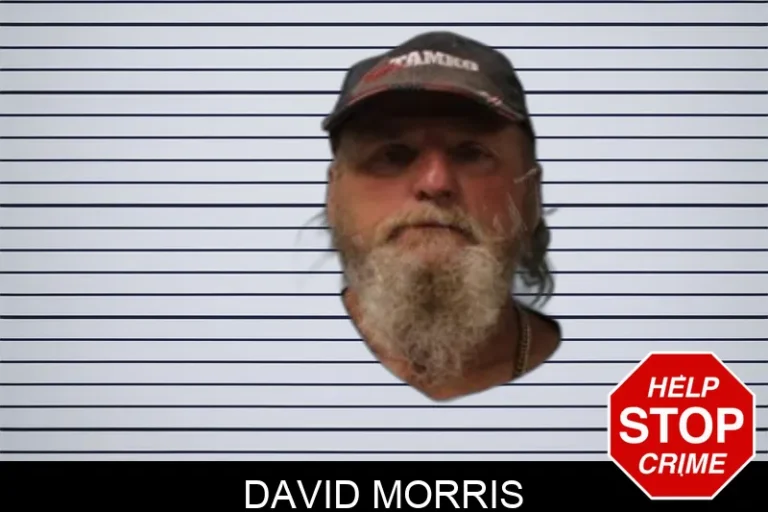David Morris