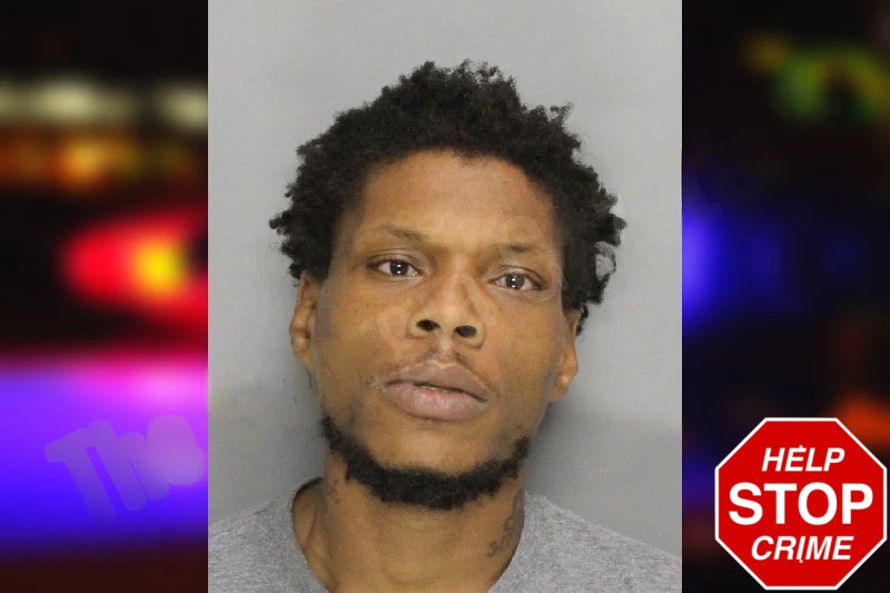 David Newman Mugshots